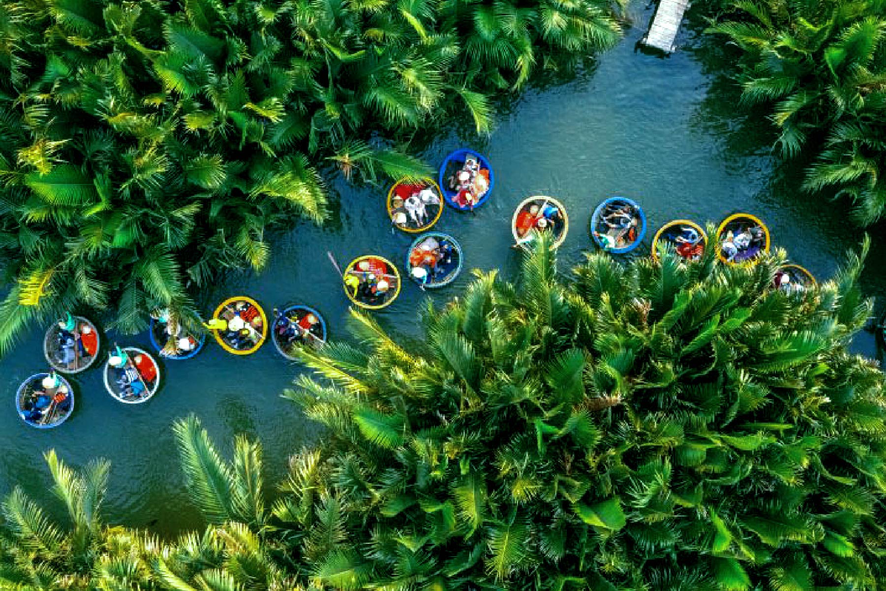 7-mau-coconut-forest-hoi-an