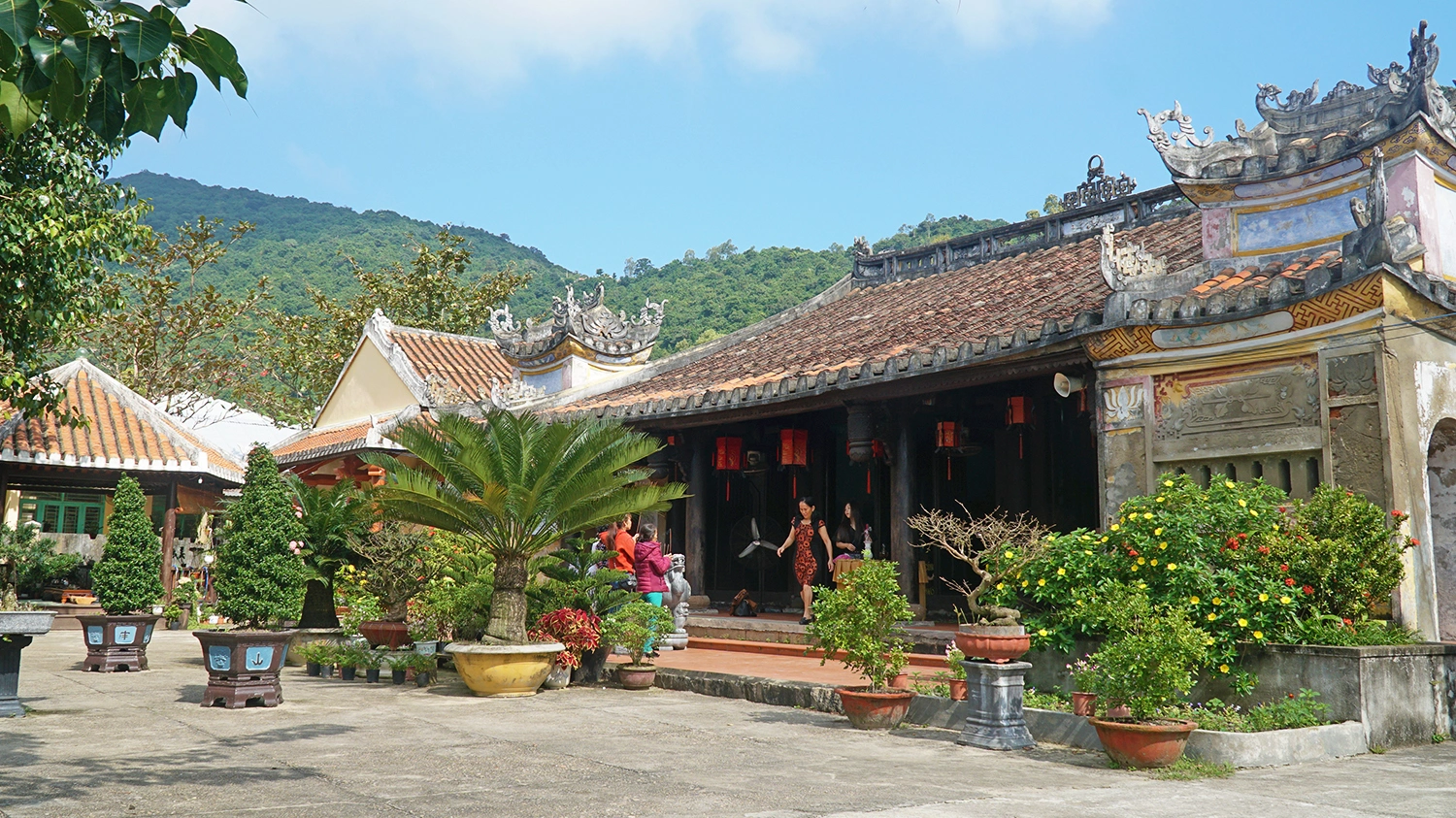 haitang