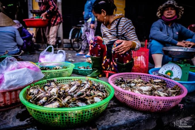seafood