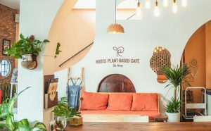 root-cafe